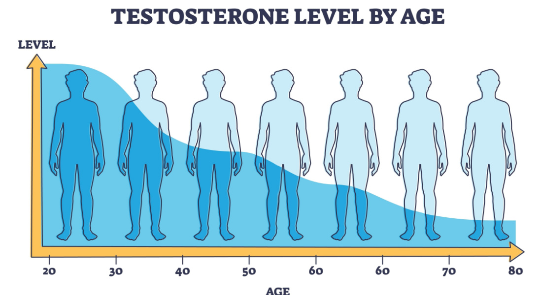 Normal Testosterone Levels: What You Need to Know